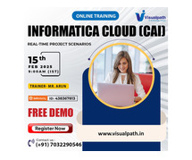 Informatica Cloud (CAI) Online Free Demo On 15th Feb