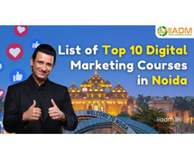 Digital Marketing Course in Noida