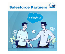 Optimizing CRM Strategies with Salesforce Partners