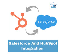 Enhancing Customer Engagement with Salesforce and HubSpot Integration