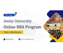 Amity University Online BBA Program