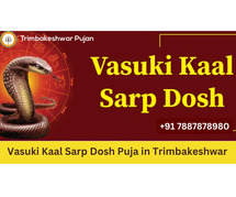 Vasuki Kaal Sarp Dosh Puja in Trimbakeshwar | Trimbakeshwar Pujan