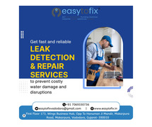 Quick and Accurate Leakage Detection in Vadodara