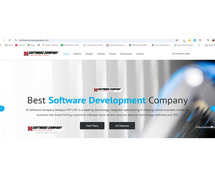 If you need? Software & website design delopment free ?