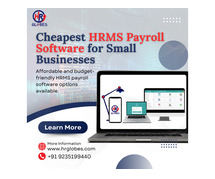 Cheapest HRMS Payroll Software for Small Businesses in India