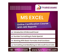 MS Excel Online Certification Course With MIS Reports