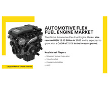 Global Automotive Flex Fuel Engine Market Share and Trends – Key Players & Growth Projections