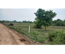 DTCP APPROVED PLOTS FOR SALE AT PALAYASEEVARAM IN WALAJABAD