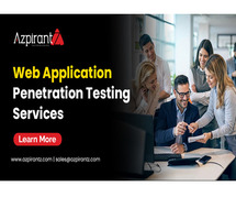 Online Web Application Penetration Testing Services