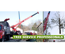 Tree Cutting Service in NJ