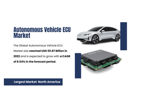 Global Autonomous Vehicle ECU Market Analysis: Growth Rate (CAGR: 8.54%)