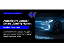 Global Automotive Exterior Smart Lighting Market Report: Key Players, Share, and Growth Trends