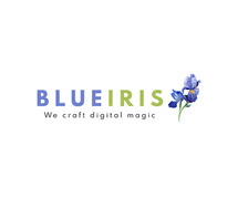 Blueiris: Top Digital Marketing Agency in Mumbai