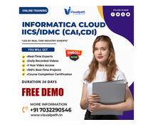 Informatica Training in Chennai | Informatica Cloud IDMC