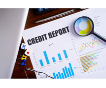 Business Credit Services