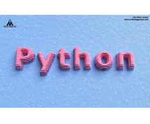 Information Security With Python