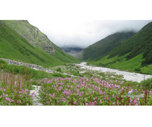 All Details Of Valley Of Flowers