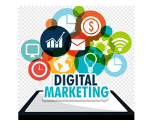 "Transform Your Career with Digital Marketing: Learn, Apply, Succeed"