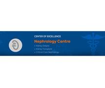 Nephrology Treatment in Saket