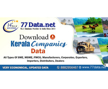 Download the List of Companies in Kerala→ Excel Format