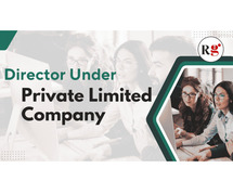 Director in a Private Limited Company