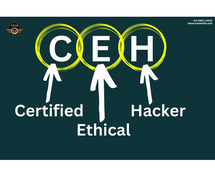 CEH Course in Jaipur