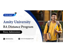 Amity University BA Distance Programs