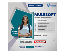 MuleSoft Course | Mulesoft Training Institute in Hyderabad