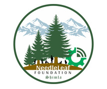 Needleleaf Foundation