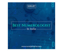 best numerologist in india