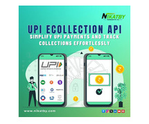 Upi eCollection api Provider in Noida