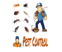 Find the unique alternative sterilization techniques for Pest control Services in Delhi