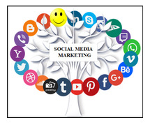 Best Digital Marketing Training Institute in Coimbatore