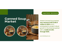 Canned Soup Market Demand: [Key Insights], [Forecast], and [Size Analysis]