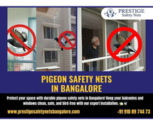 Pigeon Safety Nets in Bangalore