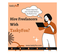 Hire Freelancers in India