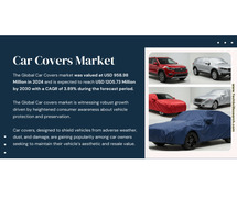 Car Covers Market Overview: Key Players, Size, and Share Analysis [CAGR of 3.89%]