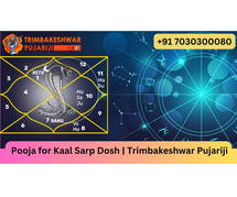 Pooja for Kaal Sarp Dosh | Trimbakeshwar Pujariji