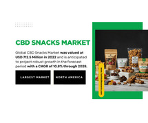 CBD Snacks Market Share: Insights, Growth, and Key Drivers for [10.8% CAGR]