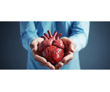 Paediatric Cardiac Surgery in Howrah