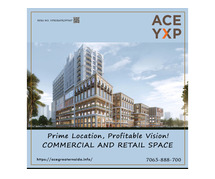 Prime Investment Alert – ACE YXP at Yamuna Expressway!