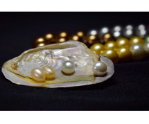 buy pearl gemstone online in gujarat