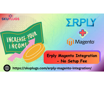 Boost Efficiency with Erply and Magento Integration Solutions