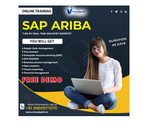 SAP Ariba Online Training | SAP Ariba Training in Chennai