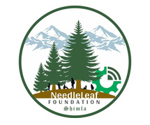 Needleleaf Foundation