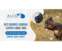 Pest Removal in North NJ