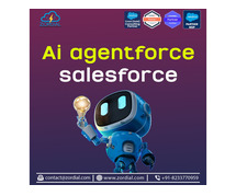 Salesforce Agentforce Consulting & Agent Services