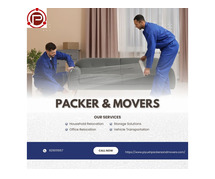 Professional Relocation Services in Panchkula - Piyush Packers & Movers