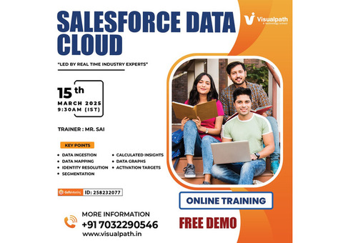 Try the Ultimate Free Demo of Salesforce Data Cloud Today!