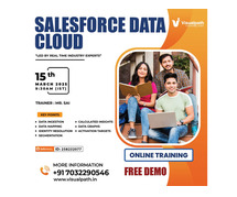 Try the Ultimate Free Demo of Salesforce Data Cloud Today!